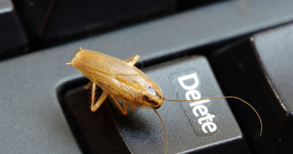 Уничтожение тараканов в офисе в Химках